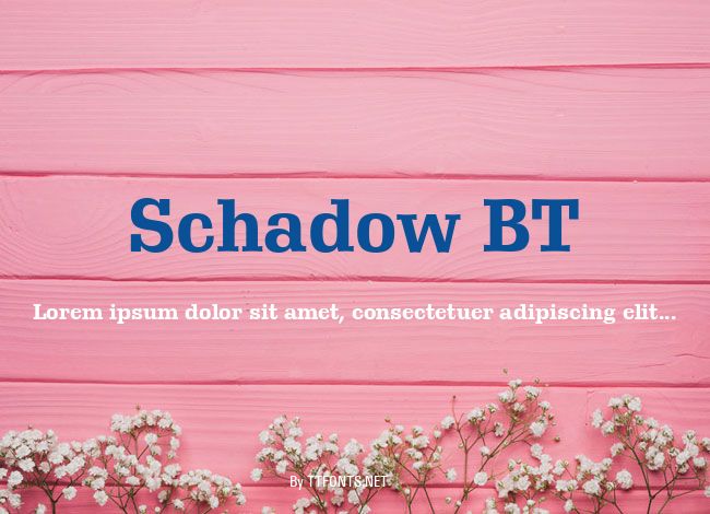 Schadow BT example